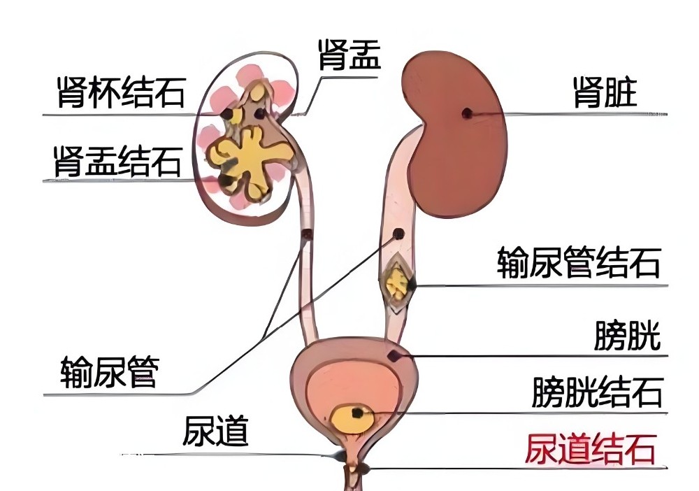 微信截圖_20250412134626.png